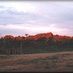 Mt Palmer Racecourse