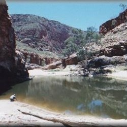 Ormiston Gorge