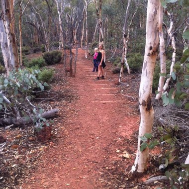 Another view of the track (stairs steps on the downhill)