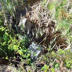 Unusual rubbish roadside