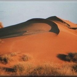 The most impressive dune in the Simpson - Big Red
