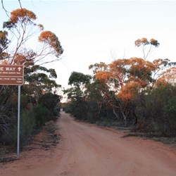 Signboard & entry to Elachbutting Rock
