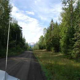 Helen Lake Forest Servcie Road