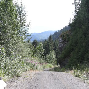 Helen Lake Forest Road
