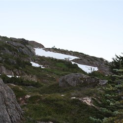 The hills above Salmon Galcier