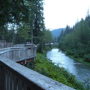 Bear Viewing area - Fish Creek Alaska