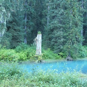 Blue Lagoon - Fish Creek