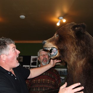 We are lousy actors - stuffed grizlly at the Stewart museum