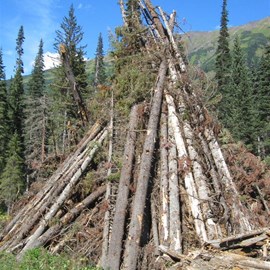 Timber raked up into giant "slush piles" for burning