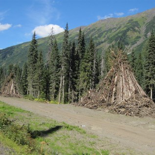 Road side forestry clearing and the giant slush piles for burning