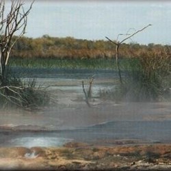 Steam from 80 degree Celsius water from the natural artesian bore