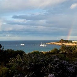 view from Beachfront at Bicheno
