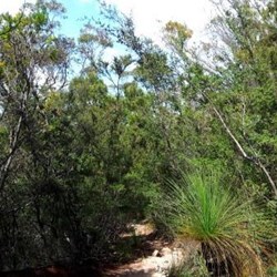 track down to the beach