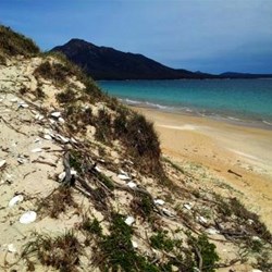 midden looking down Hazards Beach