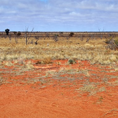 August 2010 at Camera C Site - Anne Beadell Highway