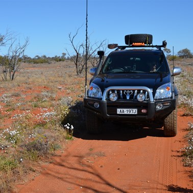 The Desert was in full bloom
