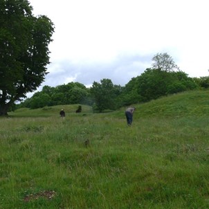 Three burial mounds in the King Barrow