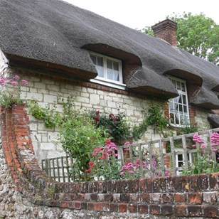 Picturesque thatched cottage with roses