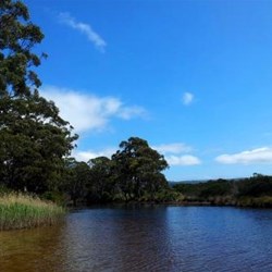 Captain Cook Creek