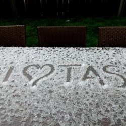 I heart Tas