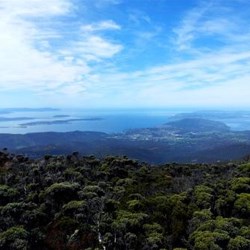 Mt Wellington