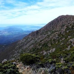 Mt Wellington