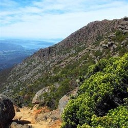 Mt Wellington