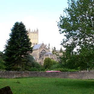 Wells Cathedral in its rural setting