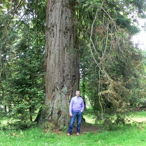 Rob beneath a giant redwood at Stourhead