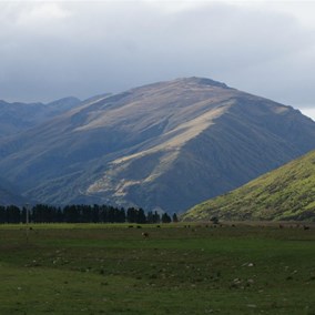 On the road north (Highway 6) to Queenstown - Near Athol