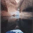 Reflections at the Mutitjulu waterhole