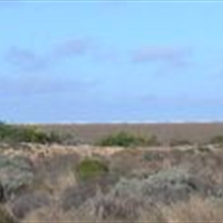 Cotton bales in every direction