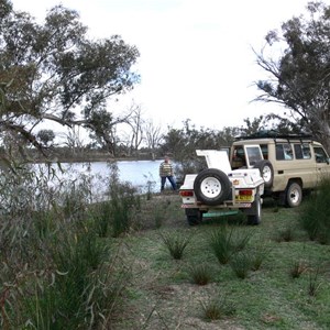 Chowilla campsite, surrounded by young gum saplings