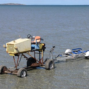 Fisherman's dream machine