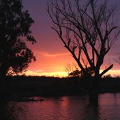 Chowilla sunrise