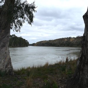Heron Bend, Murray River