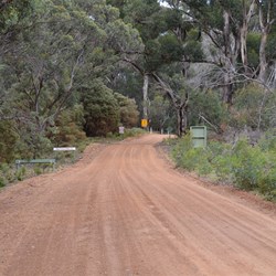 Thick vegetation on both sides of the road