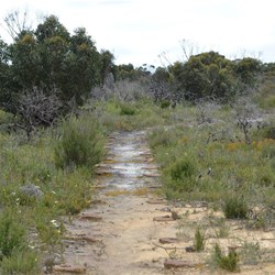 This was once a boardwalk, but was destroyed by the the 2007 Bushfires that devastated the Park