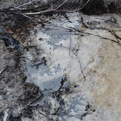 Crystal clear water at Bullock Waterhole