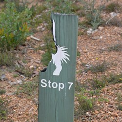 This is how close the fire came to destroying this sign