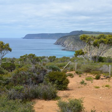 The view from Scott Cove Carpark