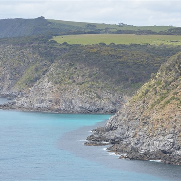 Coastline at Scott Cove