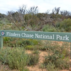 Heading back towards Harveys Return