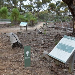 Harveys Return Campground