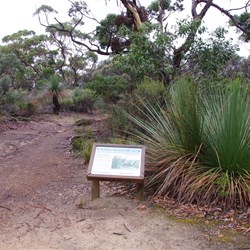 The start of the hike