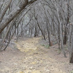 So far so good, why do they rate it Hard???