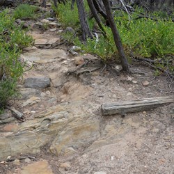 Original sleeper from the trolley track