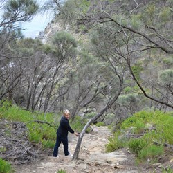 And now it goes straight down