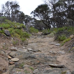 Photos never do justice.....its is far steeper that it looks and very slippery 