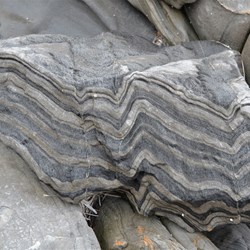 Pressure from the past are clearly shown in this large piece of rock
